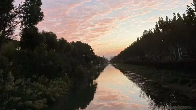 成都工商注册补贴政策解析：补贴金额与申请要点